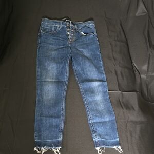 Express Distressed Ankle Jeans in Blue